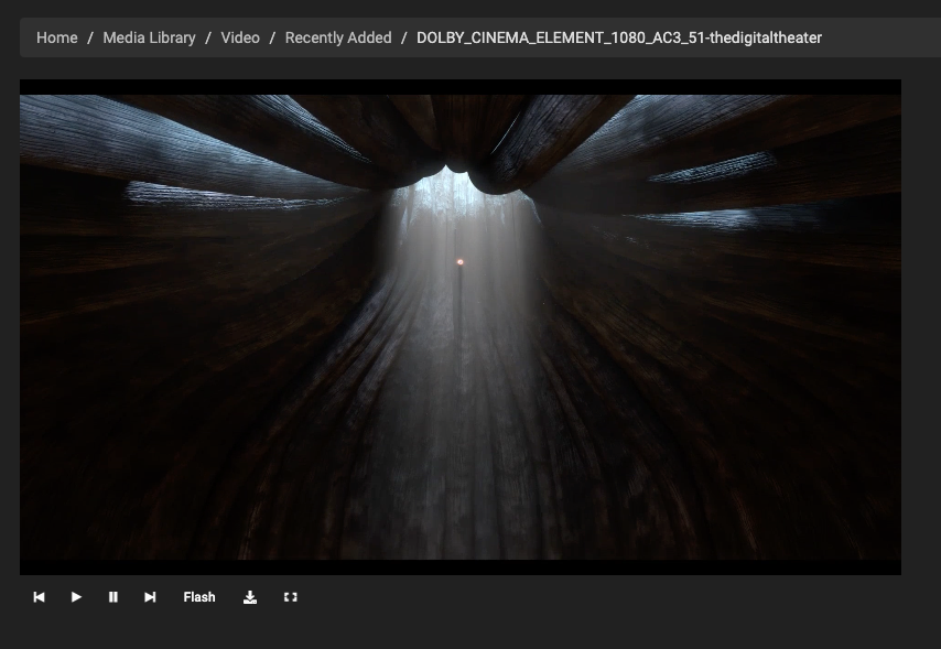 Video na webovém rozhraní